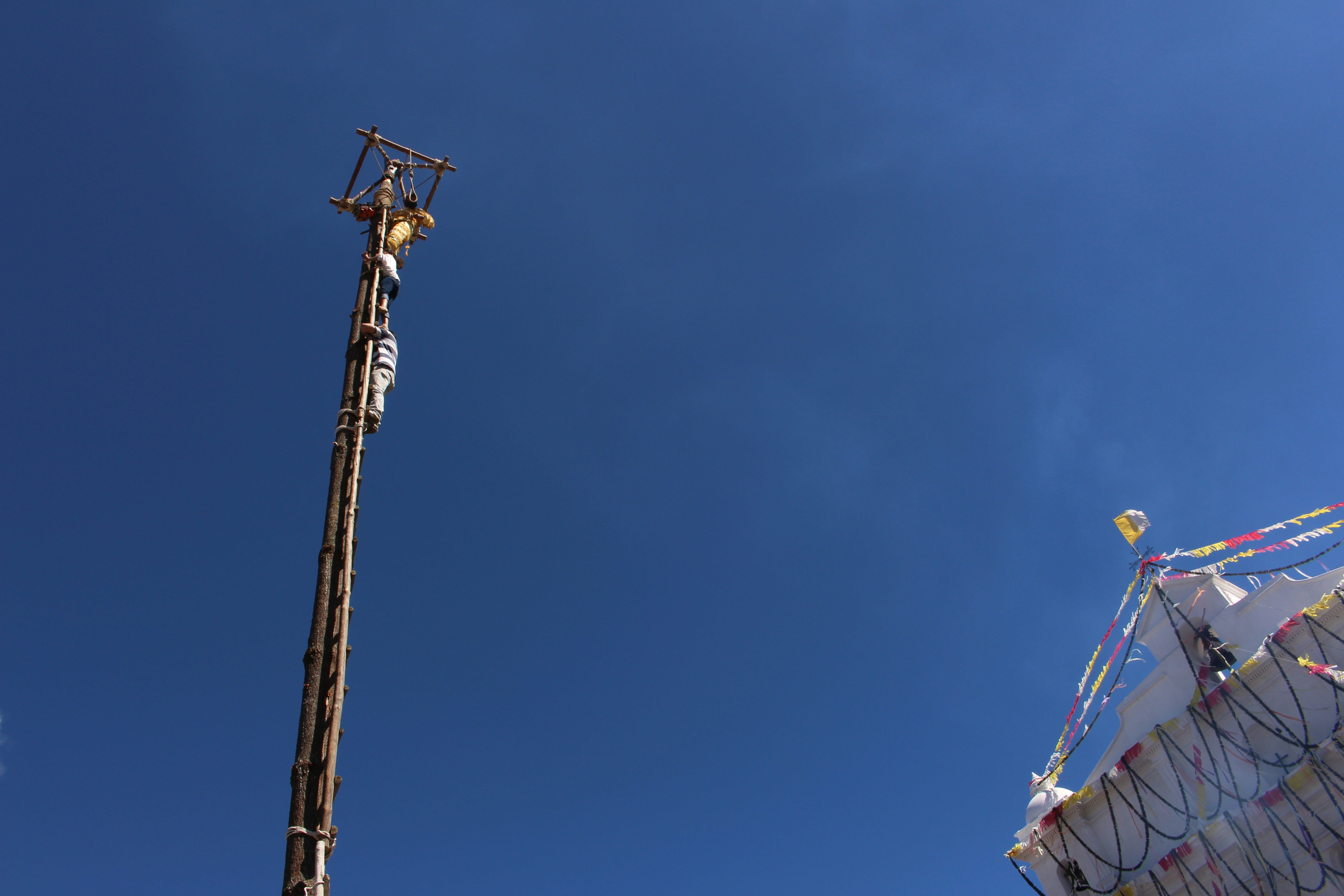 Free Unsplash photo from Suseth Morales