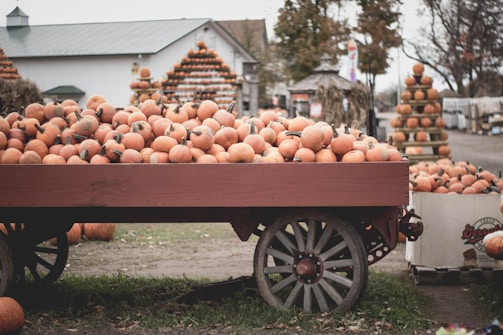 round fruits in cart