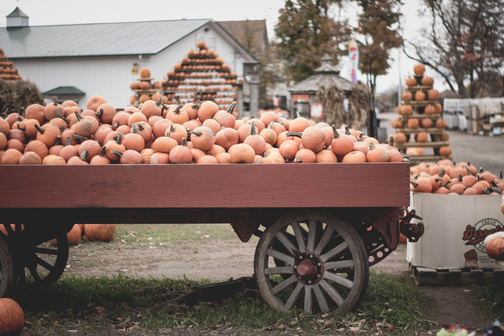 round fruits in cart