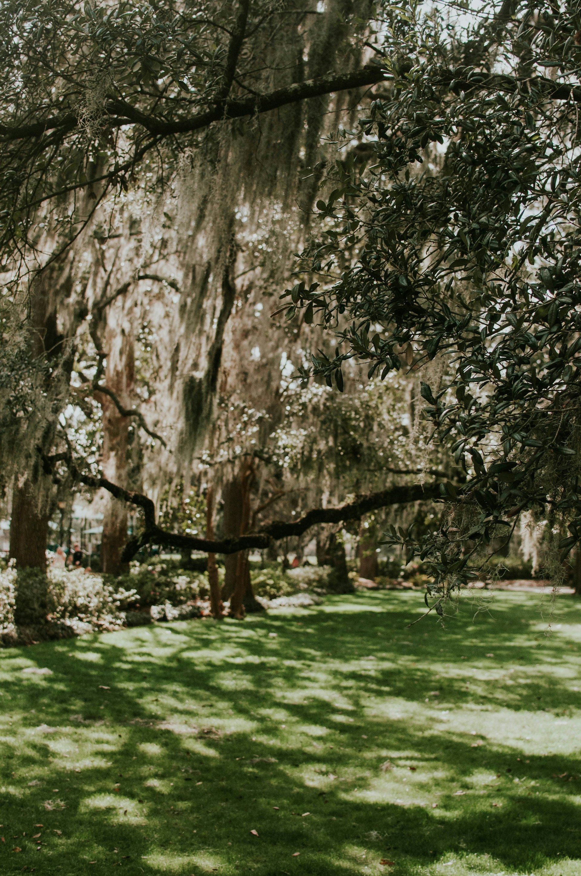 gray computer monitor