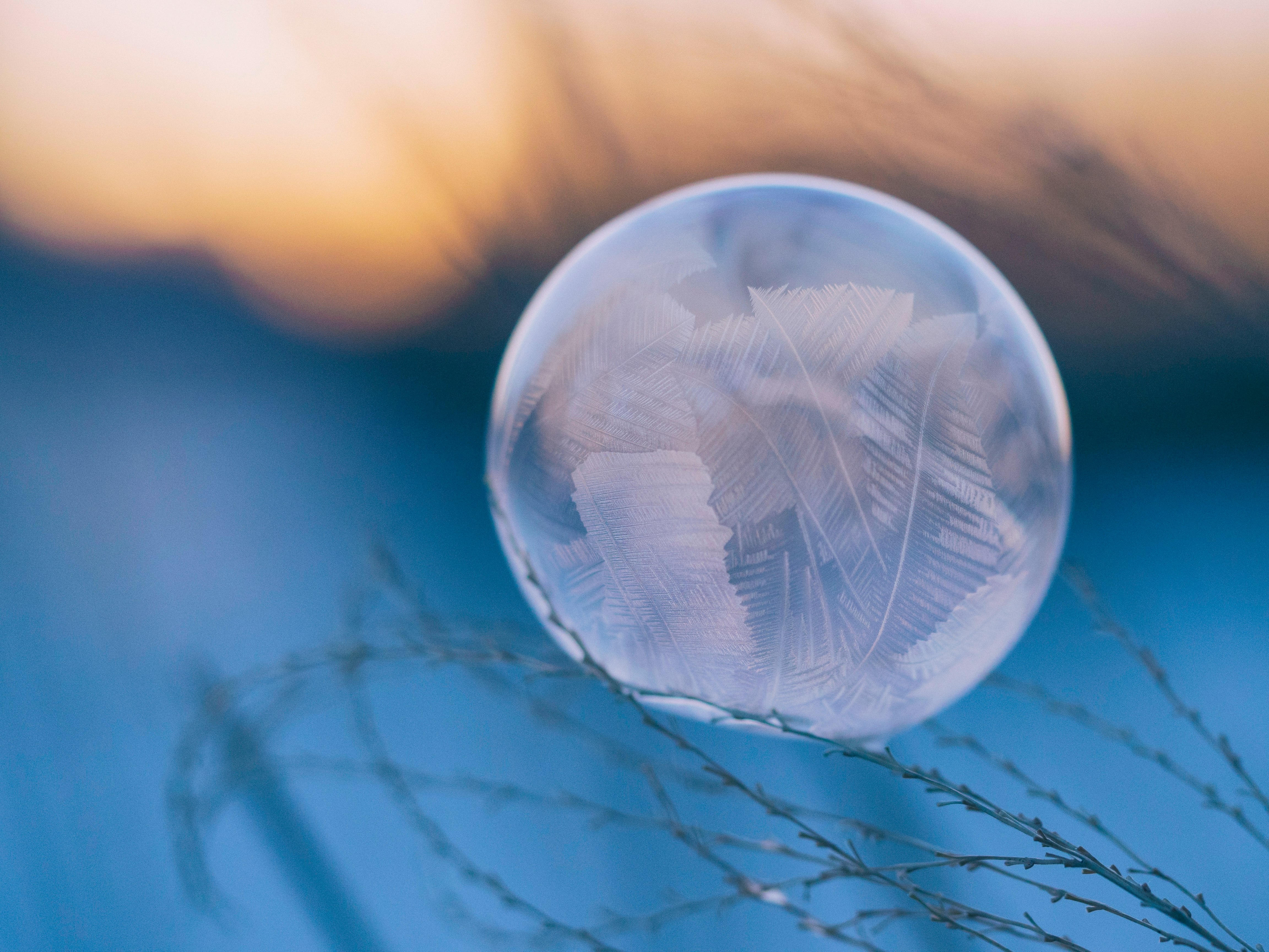 perspective photography of leaf