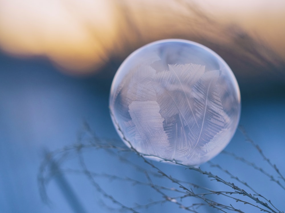 Photographie en perspective de la feuille