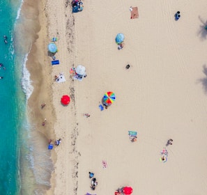 aerial photography of people gathering on shore