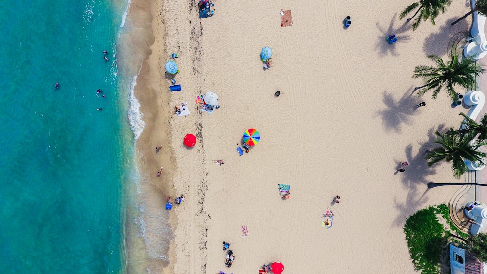 aerial photography of people gathering on shore