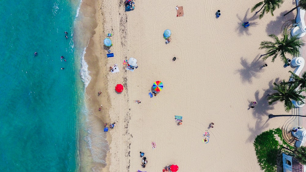 Fotografia aerea di persone che si radunano a riva