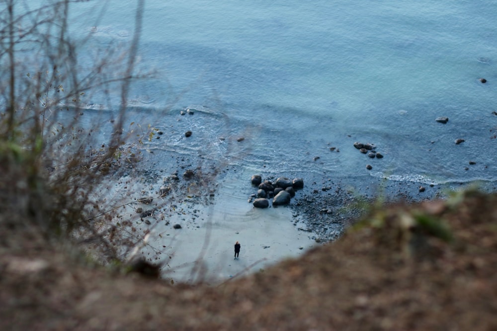 landscape photo of body of water