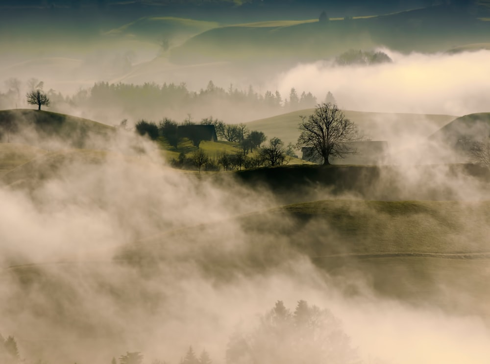 green grass field covered in fog during daytime