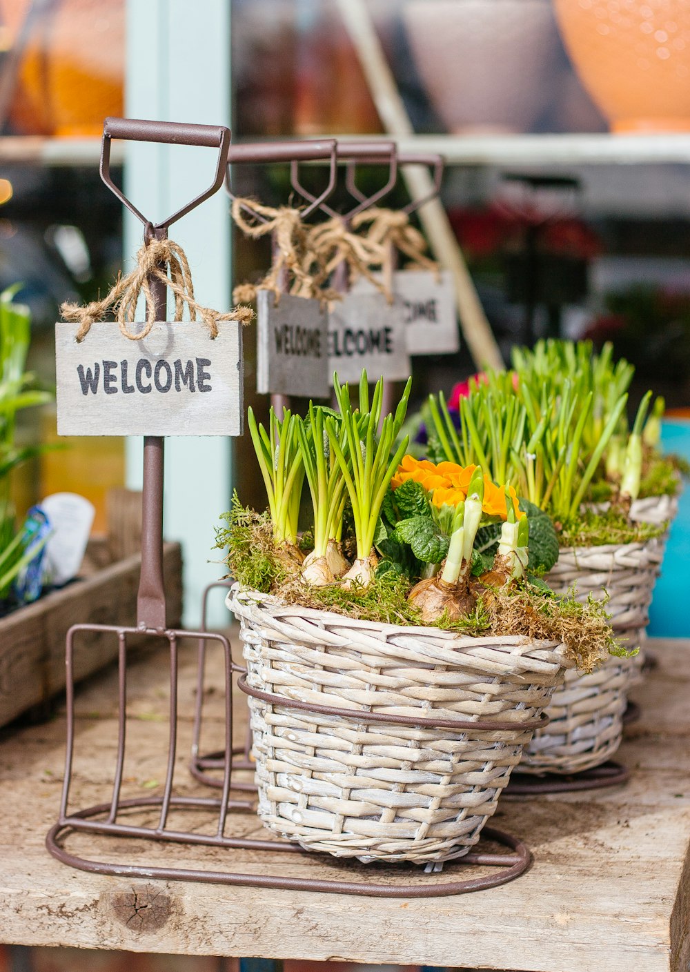 légumes verts à l’intérieur des paniers