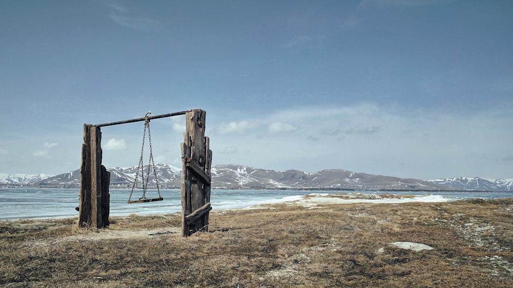 brown and gray swing near body of water