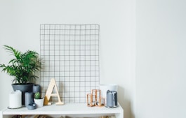 potted plants on table