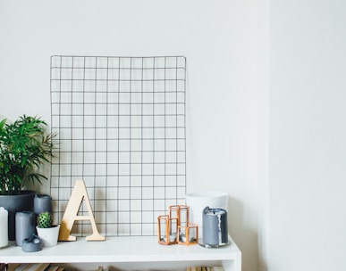 potted plants on table