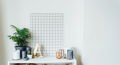 potted plants on table indoor zoom background