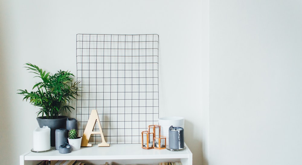 plantes en pot sur table