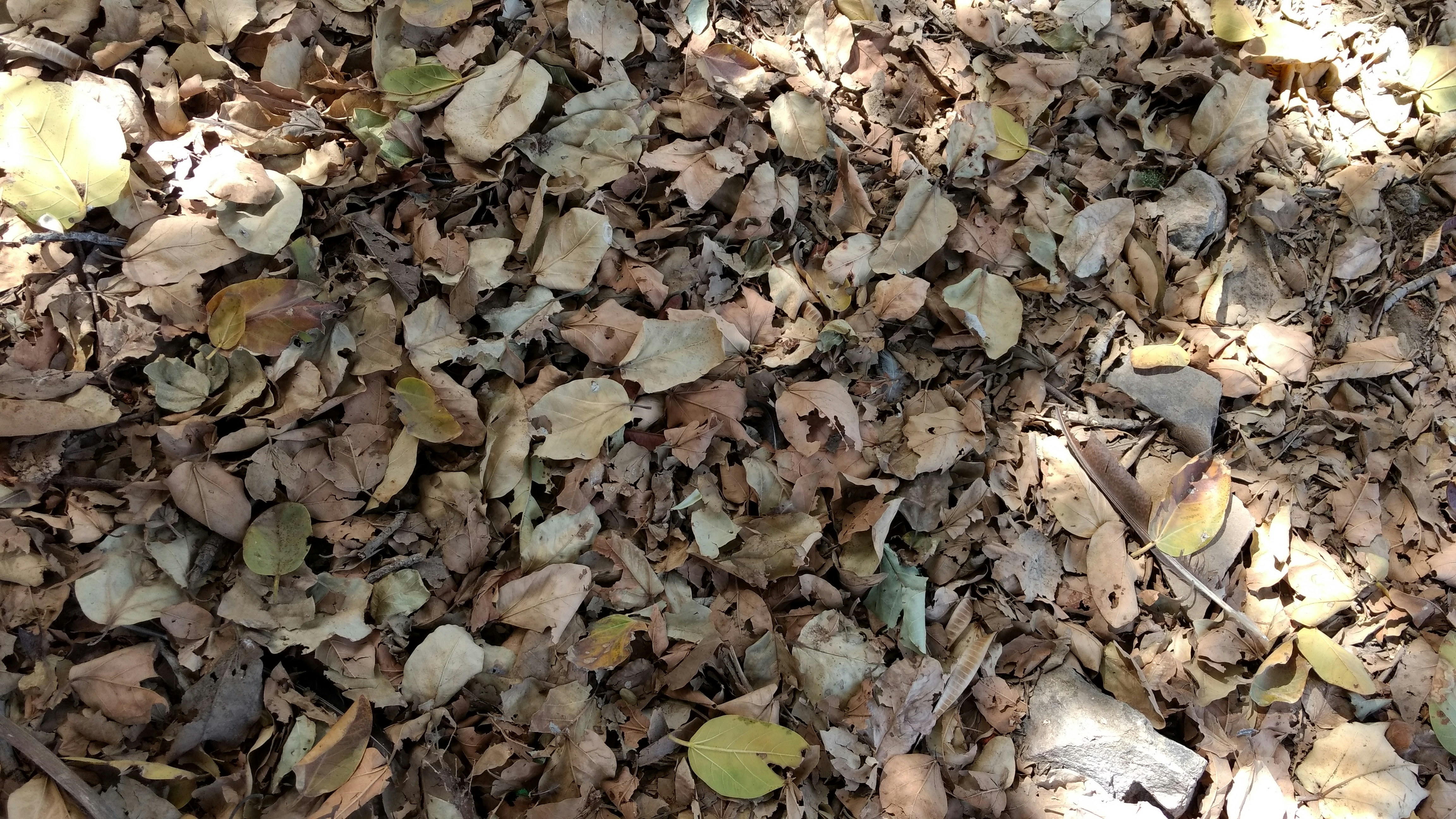 Free Unsplash photo from Jígär Jígär