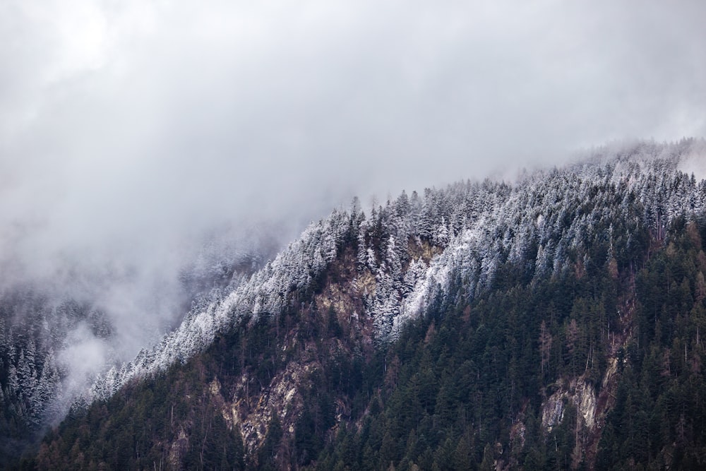 landscape photography of mountain