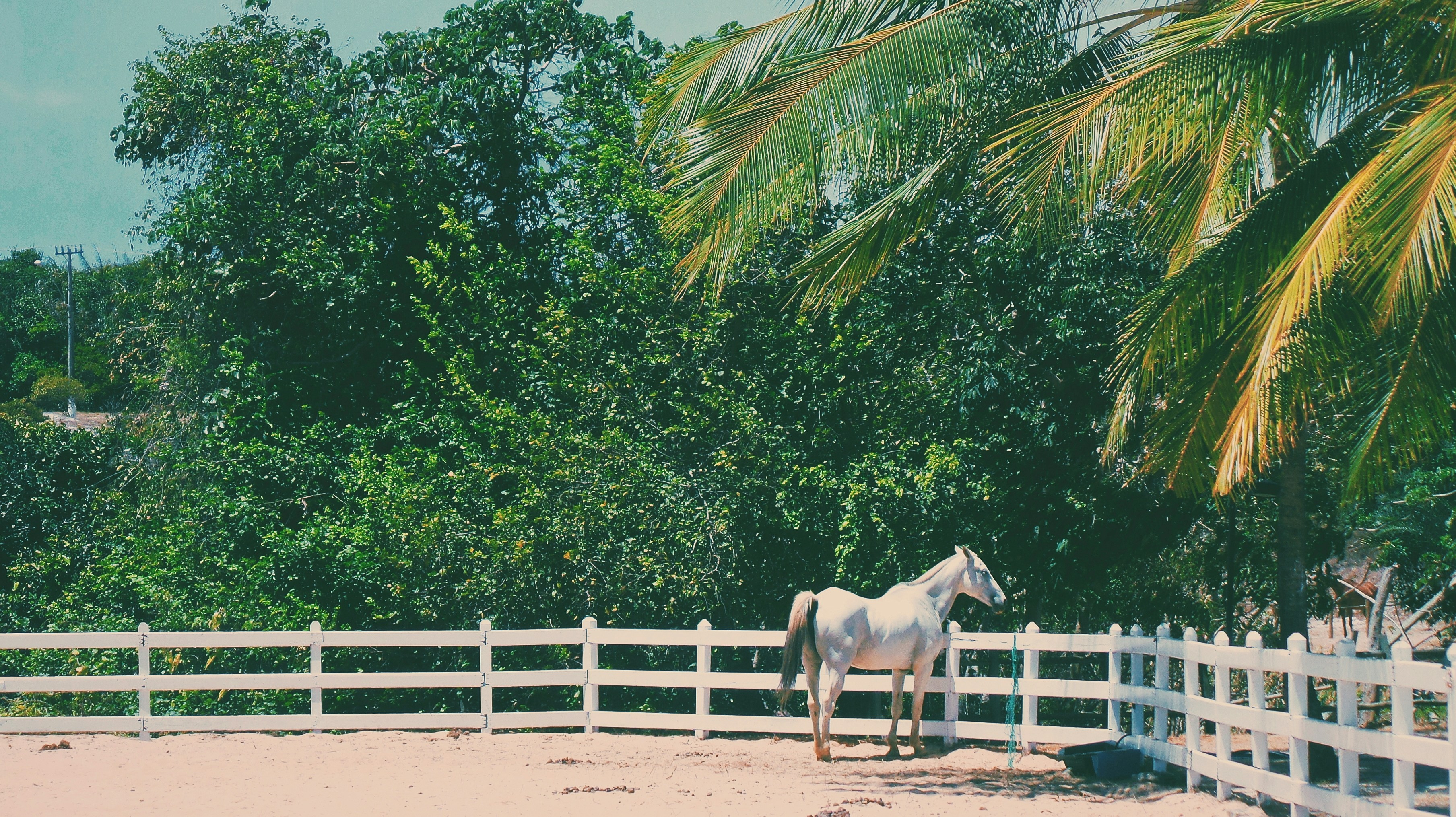 Free Unsplash photo from Celso