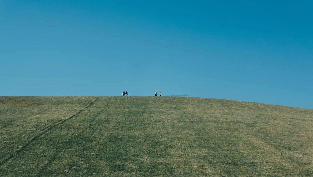 Personas en el campo de hierba verde durante el día