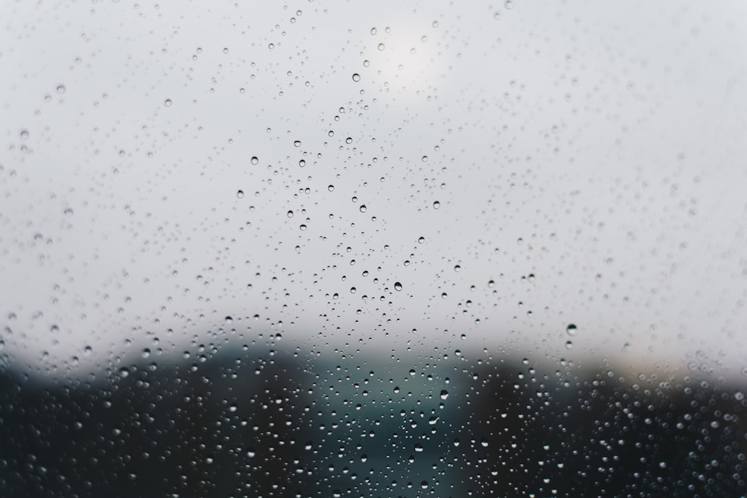 raindrops, looking out the window