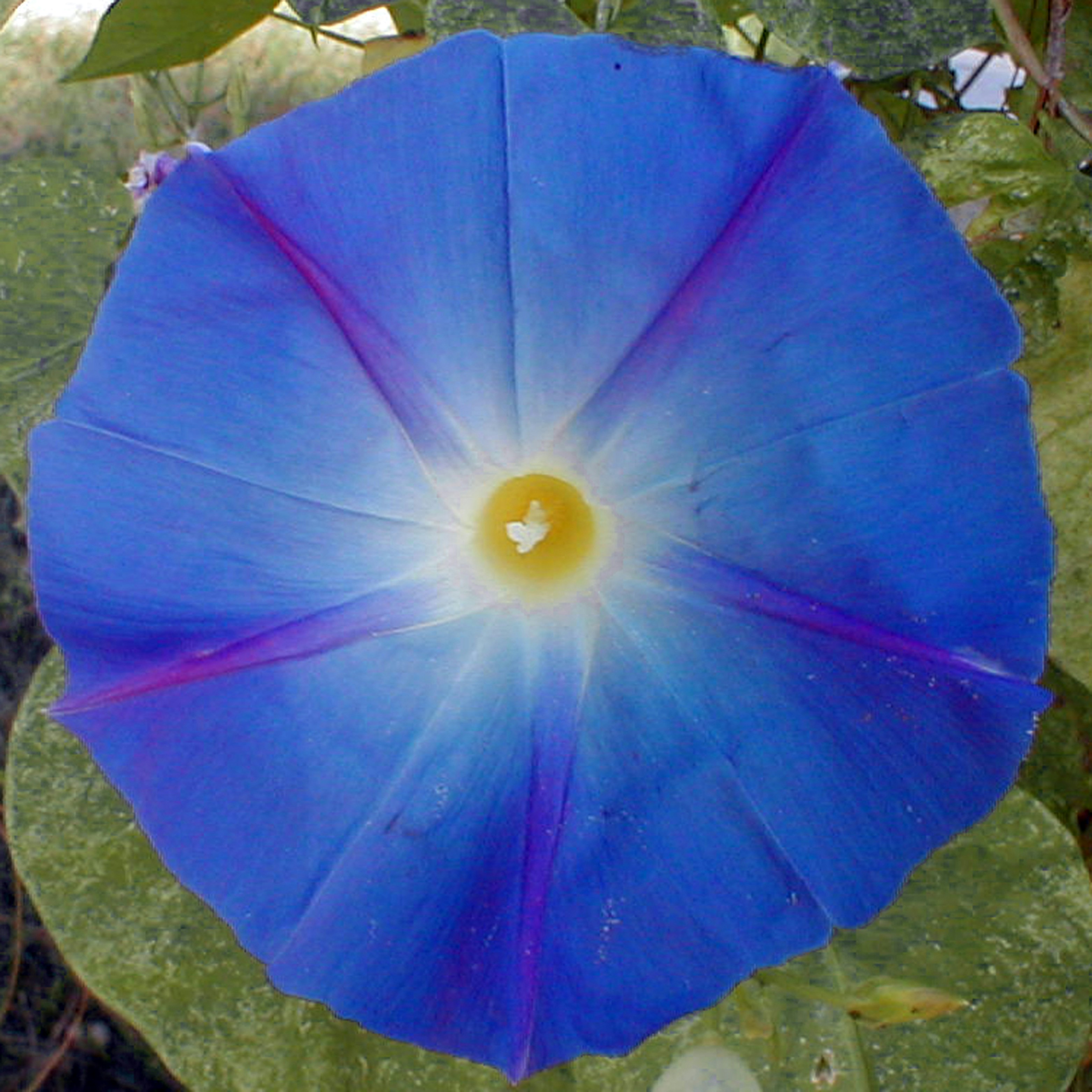 Free Unsplash photo from James Threadgill