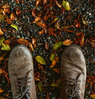 A pair of well-worn walking shoes resting on a sunlit trail surrounded by autumn leaves.