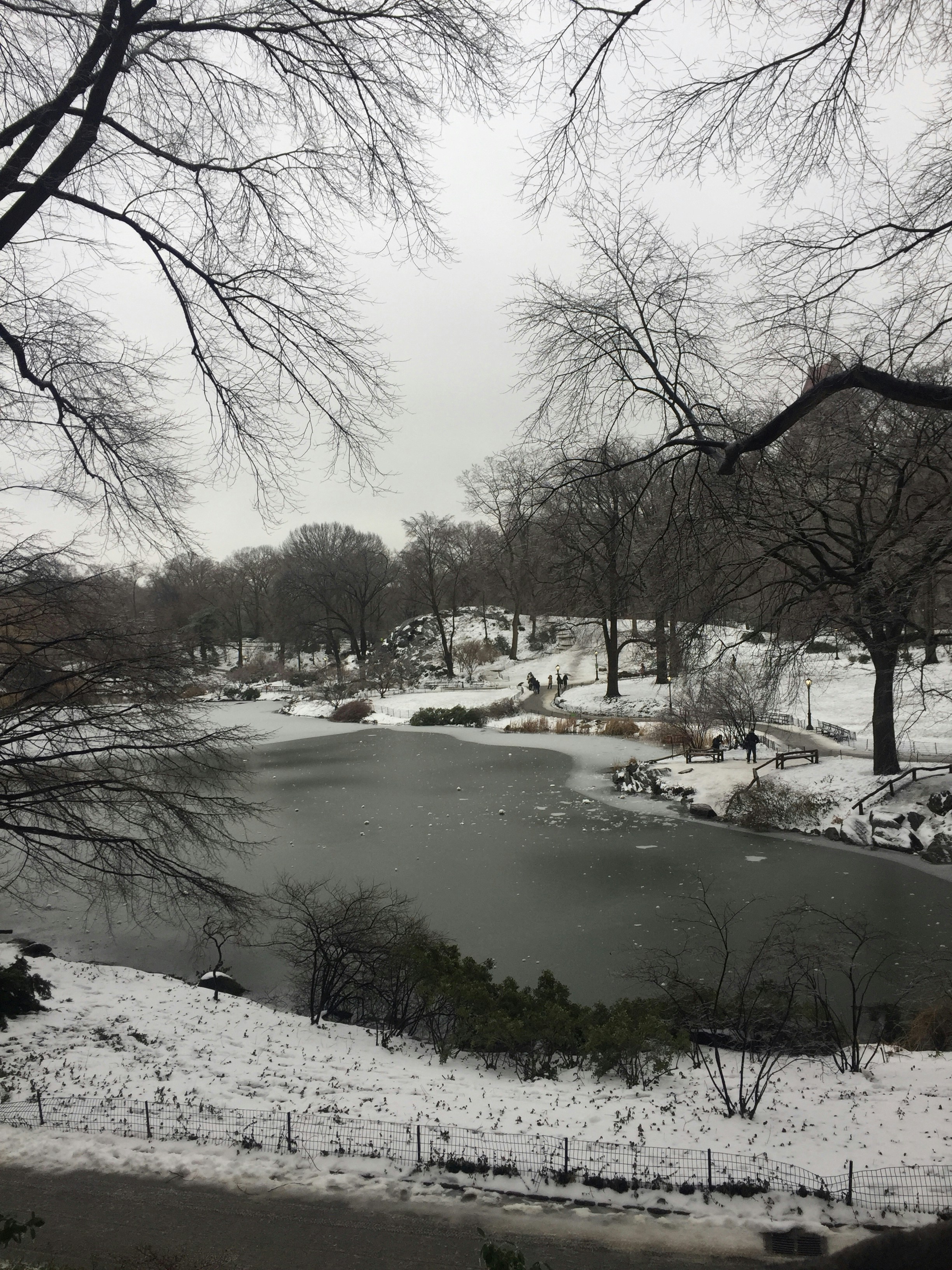 Free Unsplash photo from Adriana  Herrera