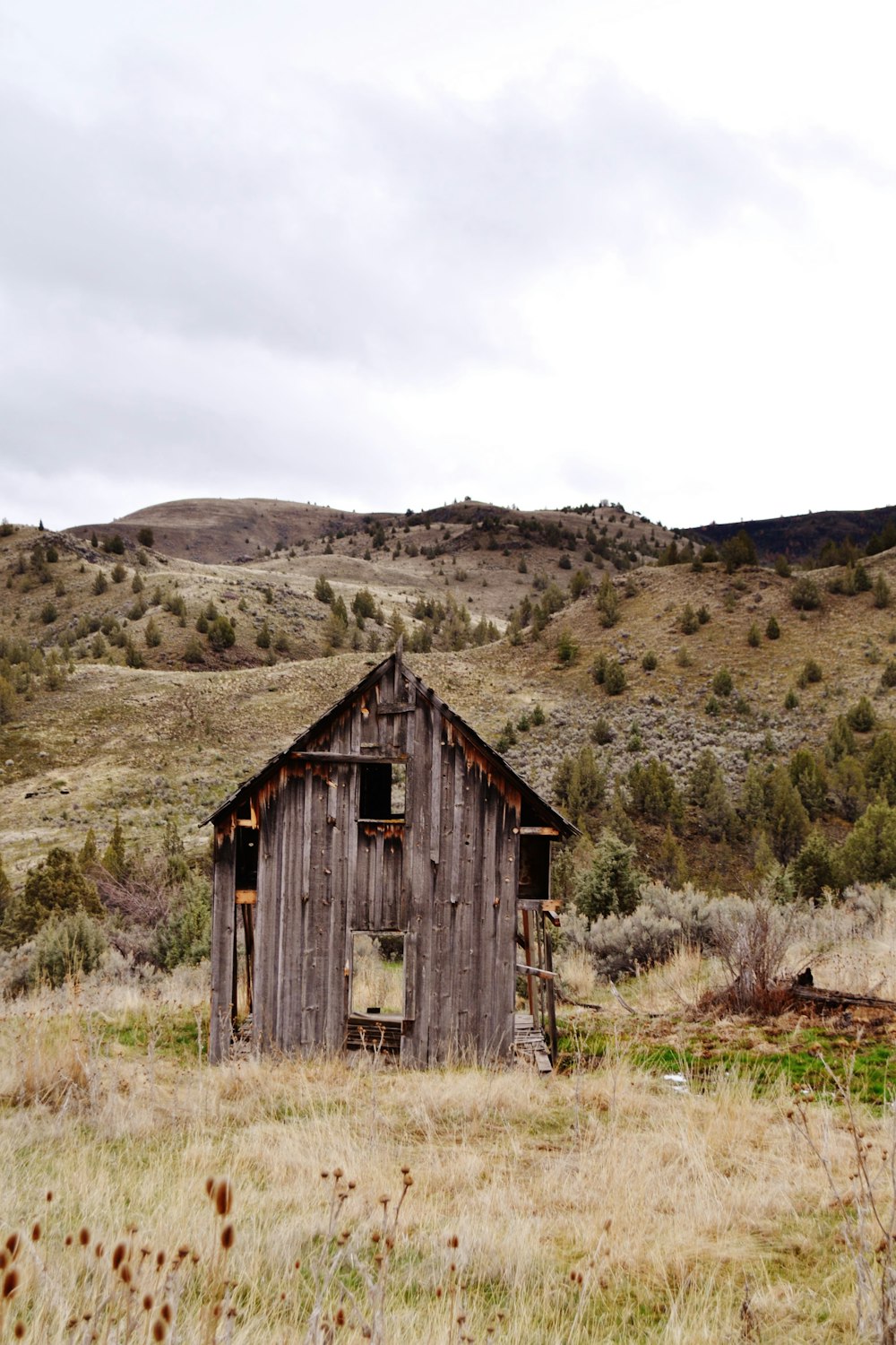 brown wooden shed on mountain