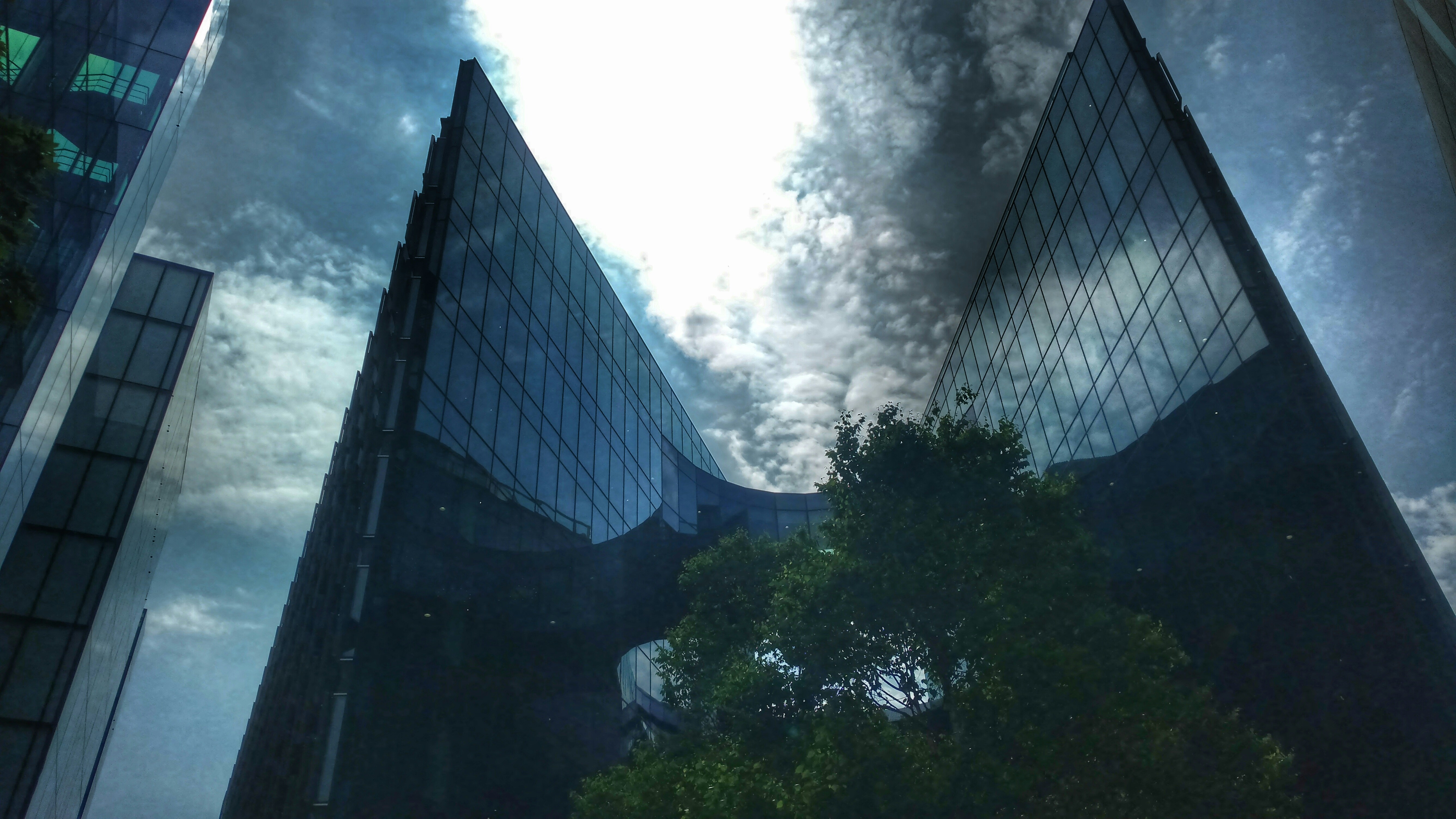 Free Unsplash photo from Suraj Sharda