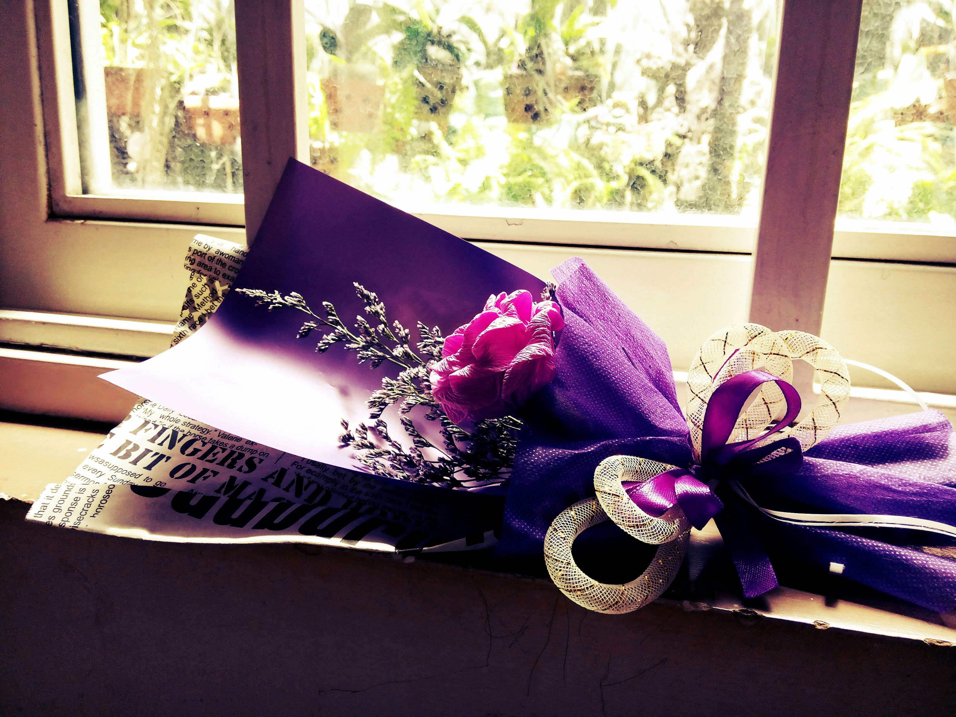 Free Unsplash photo from Đỗ Thị Trà Giang