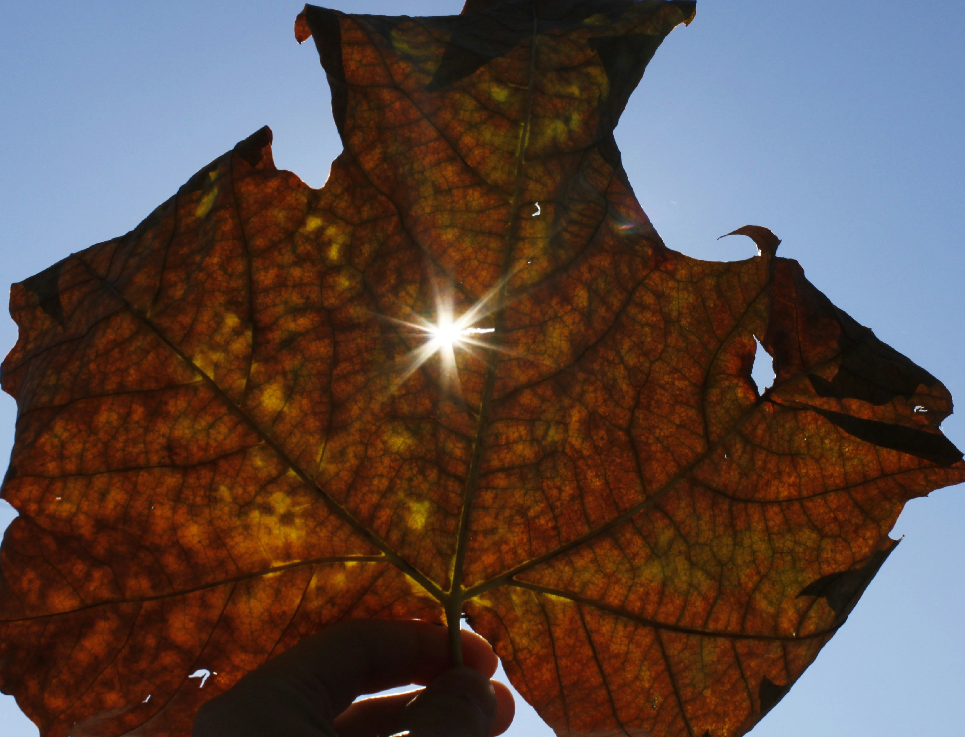 Free Unsplash photo from Jonathan Mateos