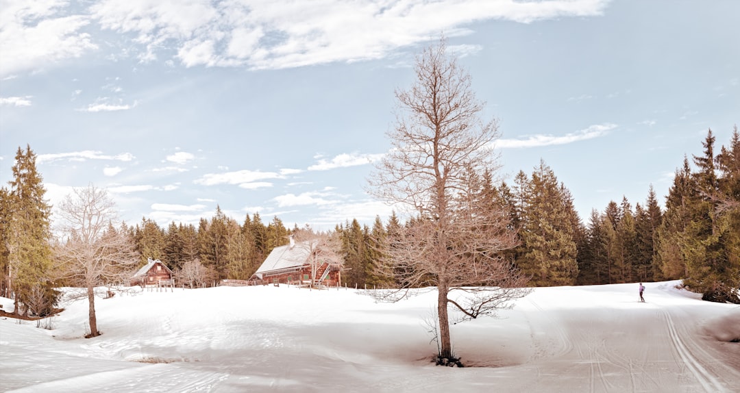 grey asphalt road surrounded by trees, Spring is on its way —<p></figure>Only more once cross-country skiing.</p><p>Then we will be ready.