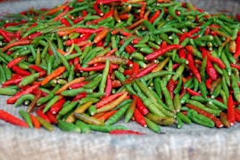 close-up photography of green and red chili