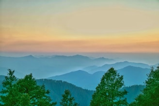 A soothing landscape with soft hues and tranquil elements.