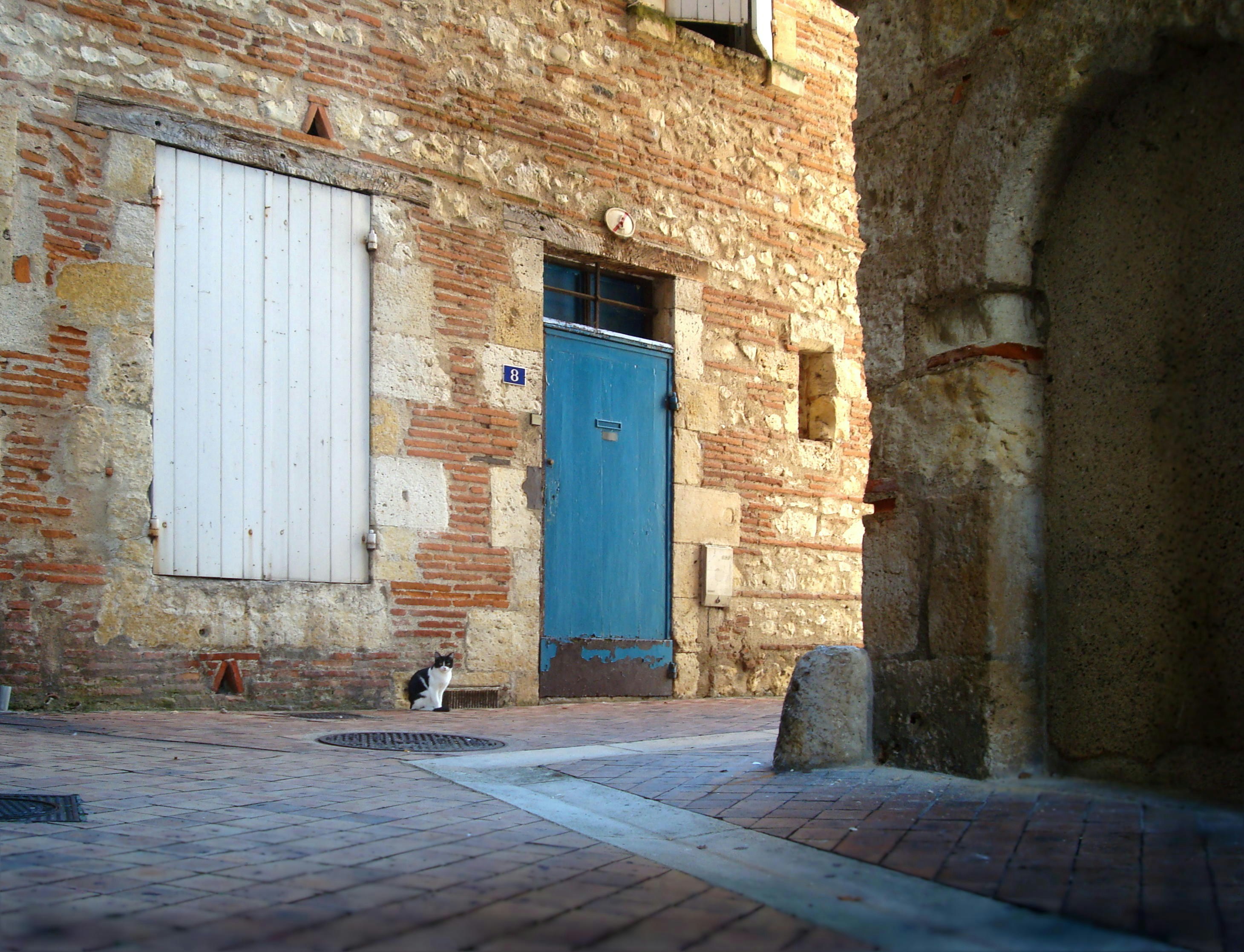 Free Unsplash photo from Cecile Musy