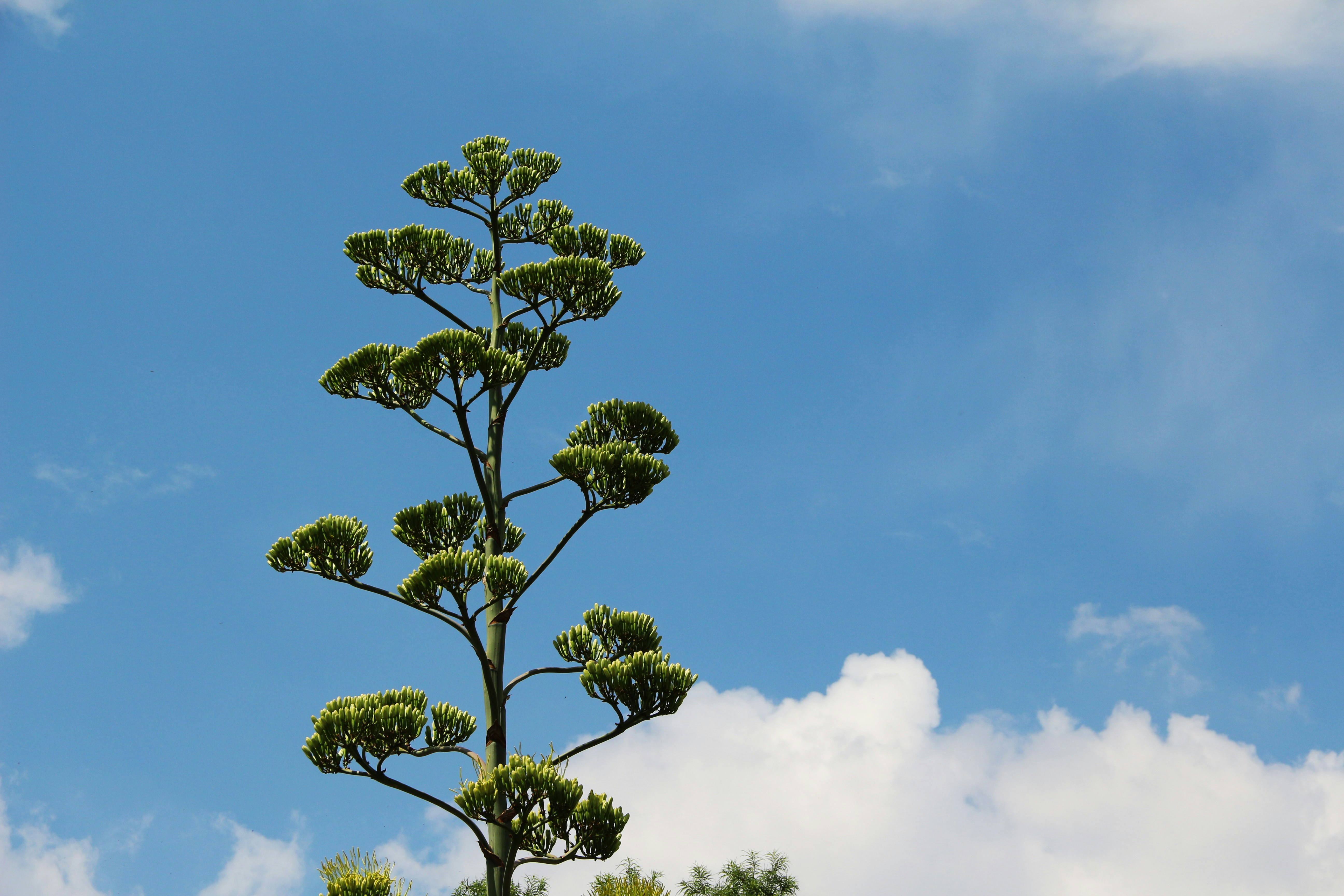 Free Unsplash photo from Priss Enriquez