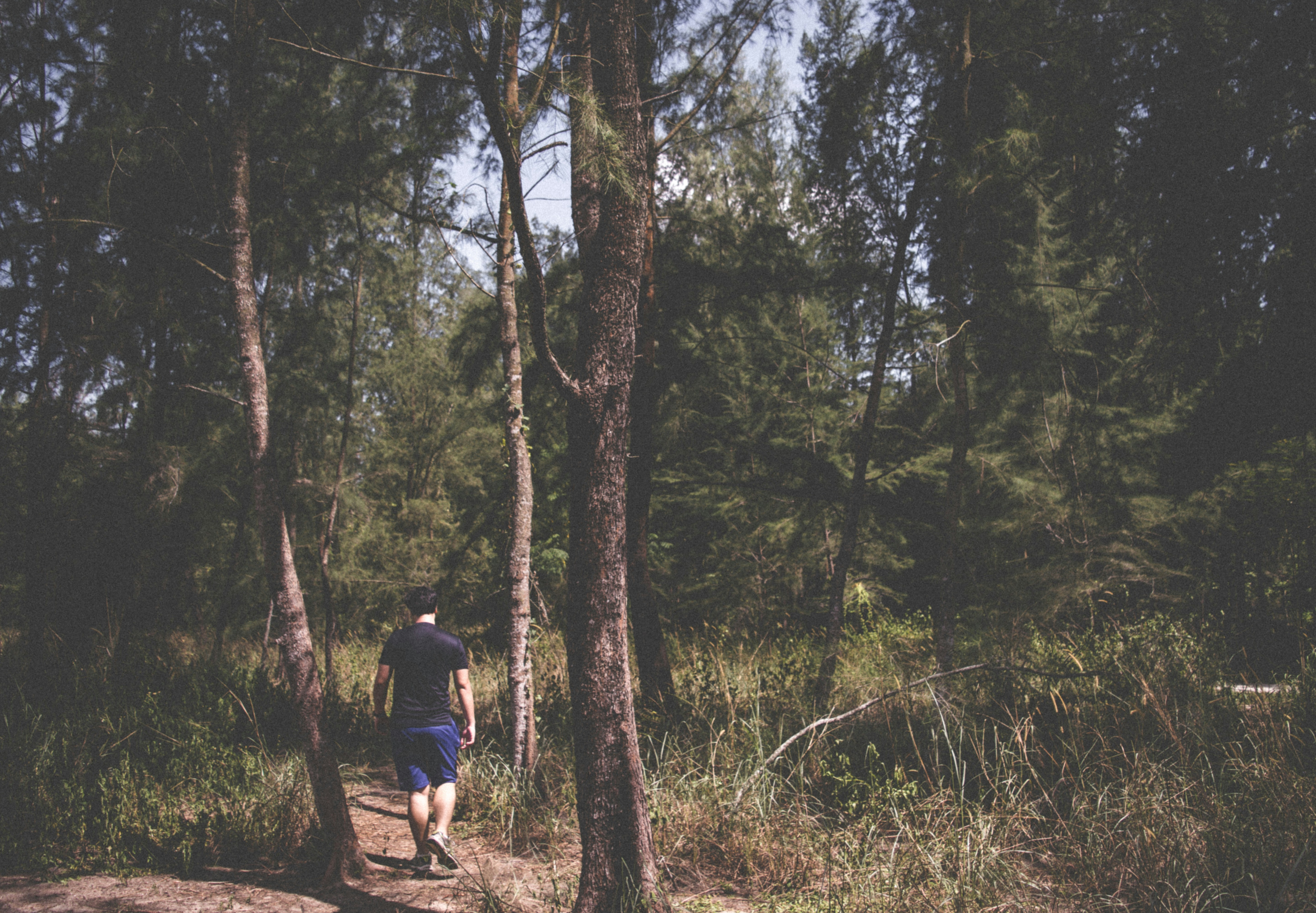 Free Unsplash photo from Somesh Dev