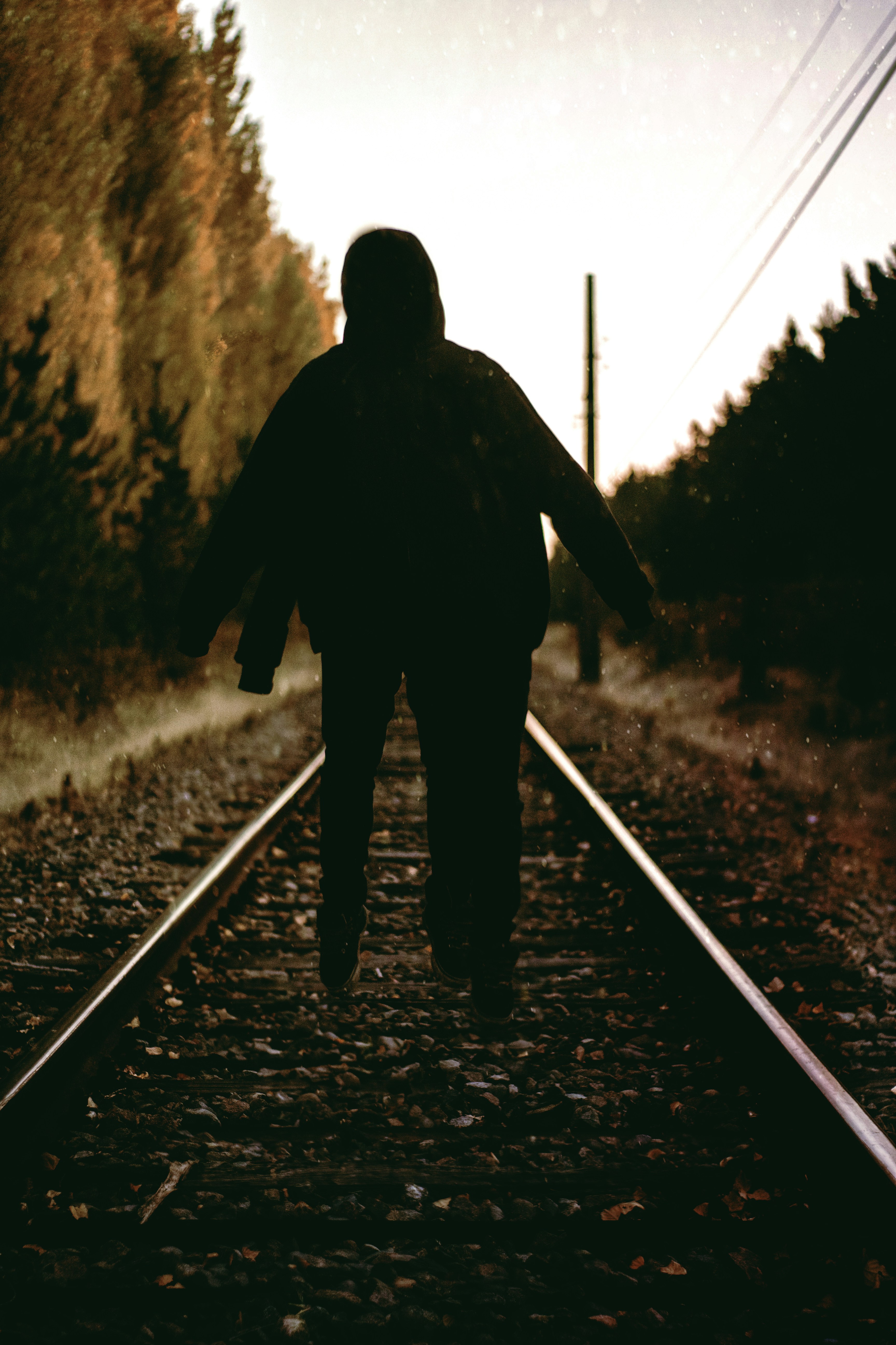 Free Unsplash photo from erik cid