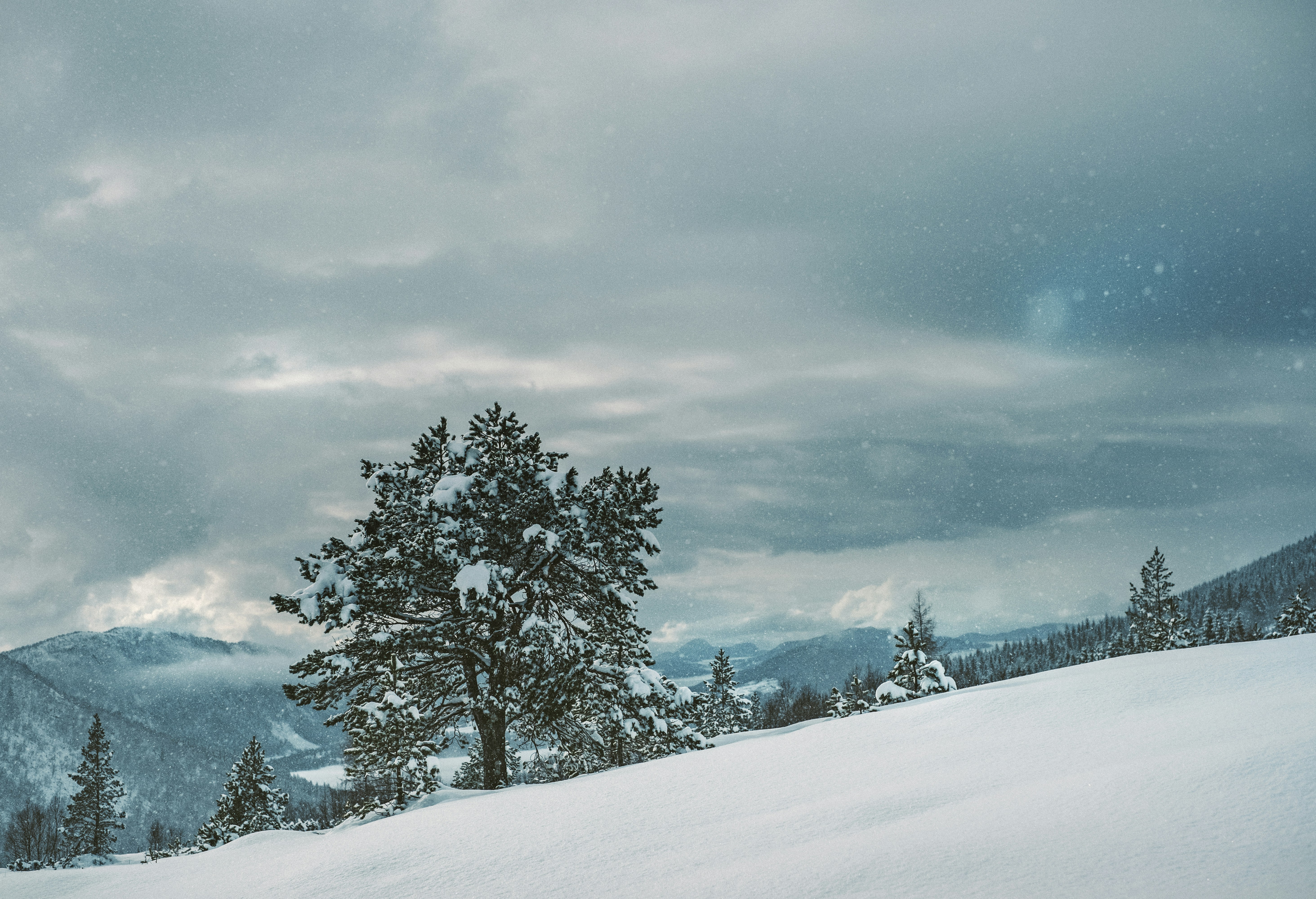 Free Unsplash photo from Torbjorn Sandbakk