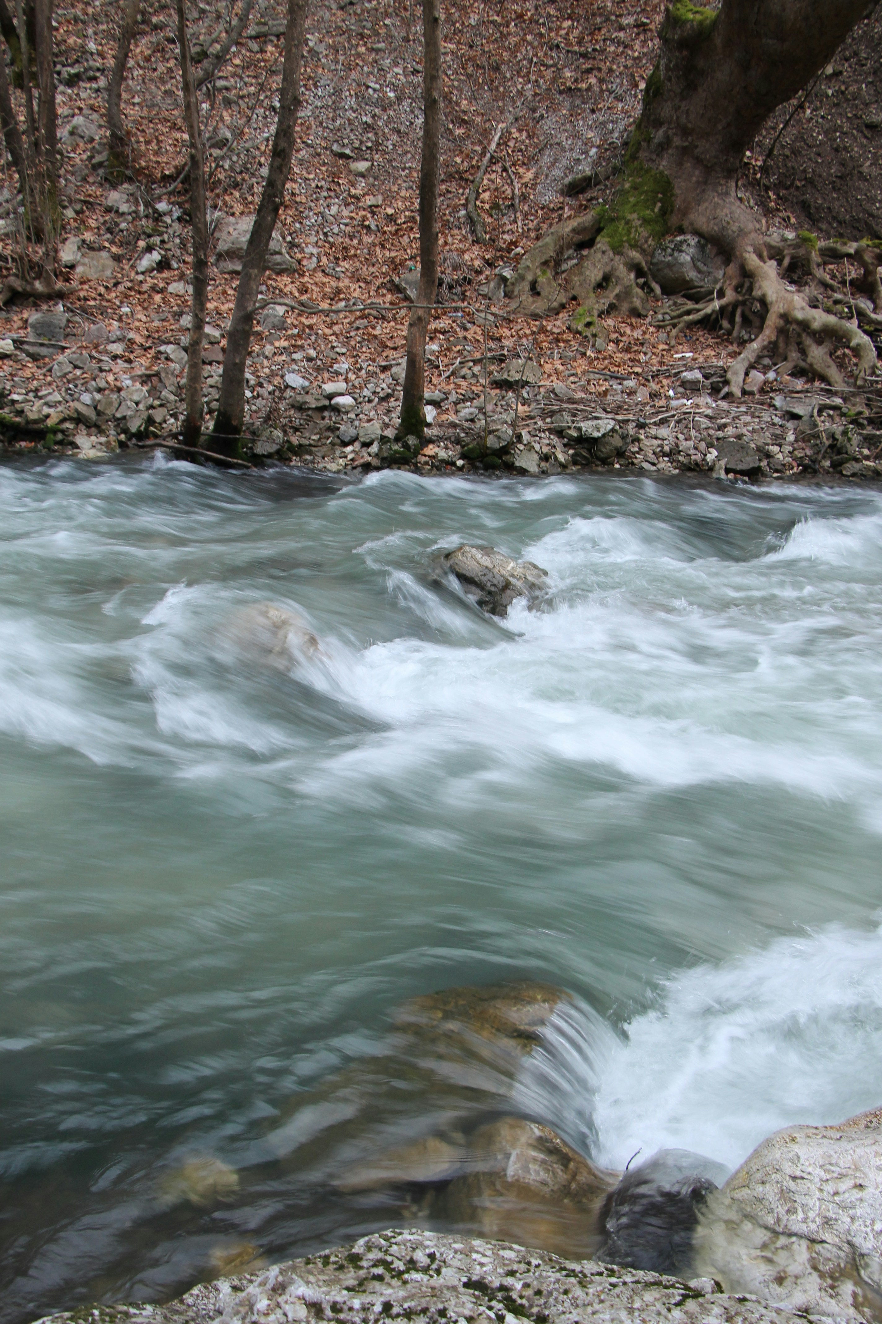 Free Unsplash photo from Eleni Afiontzi