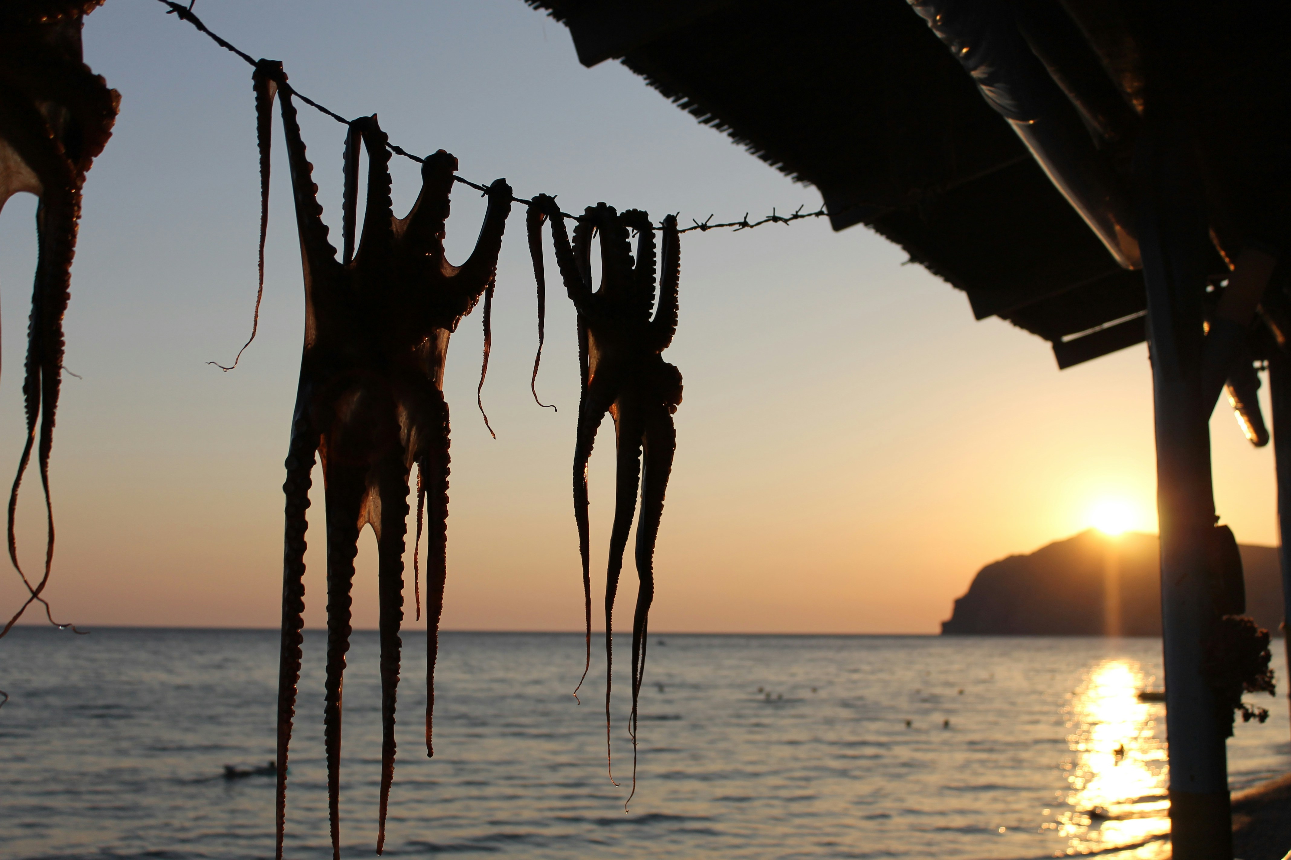 Free Unsplash photo from Eleni Afiontzi