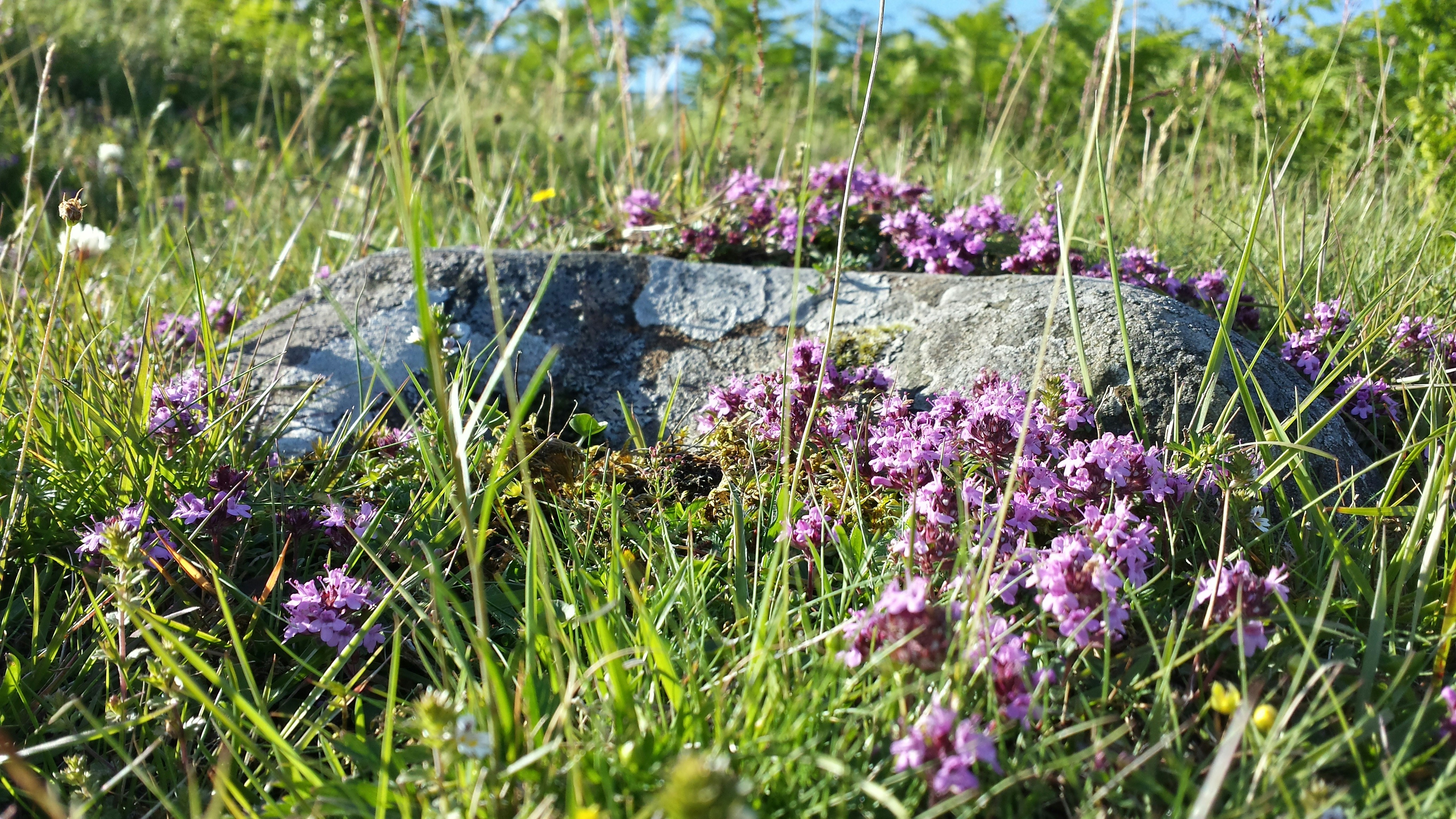 Free Unsplash photo from Krzysztof Skorupa