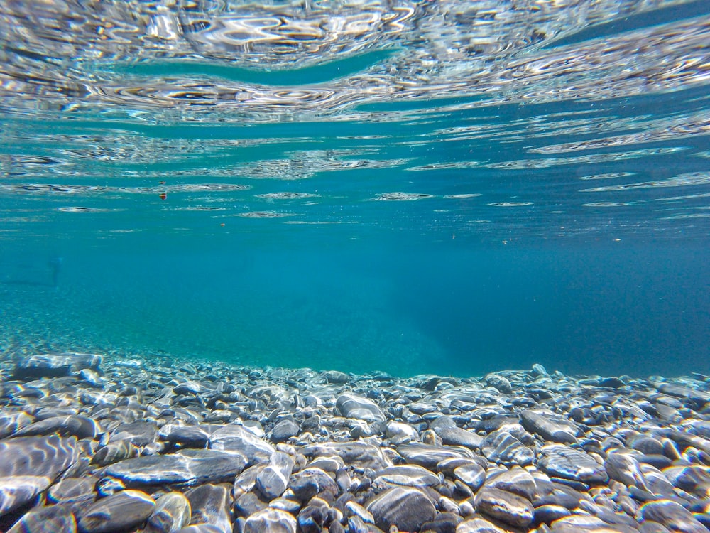 fotografia de foco raso de rochas sob a água