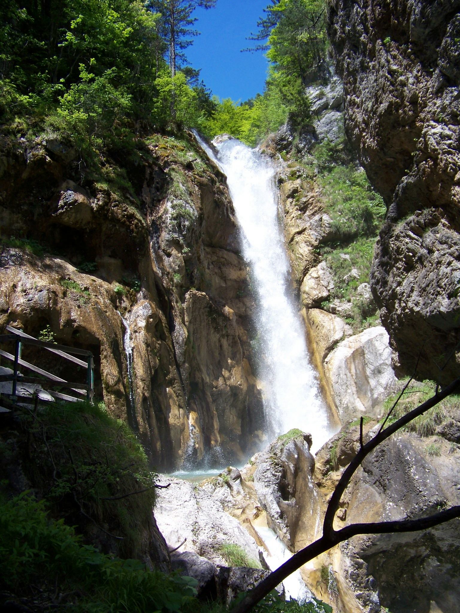 Free Unsplash photo from Olle August