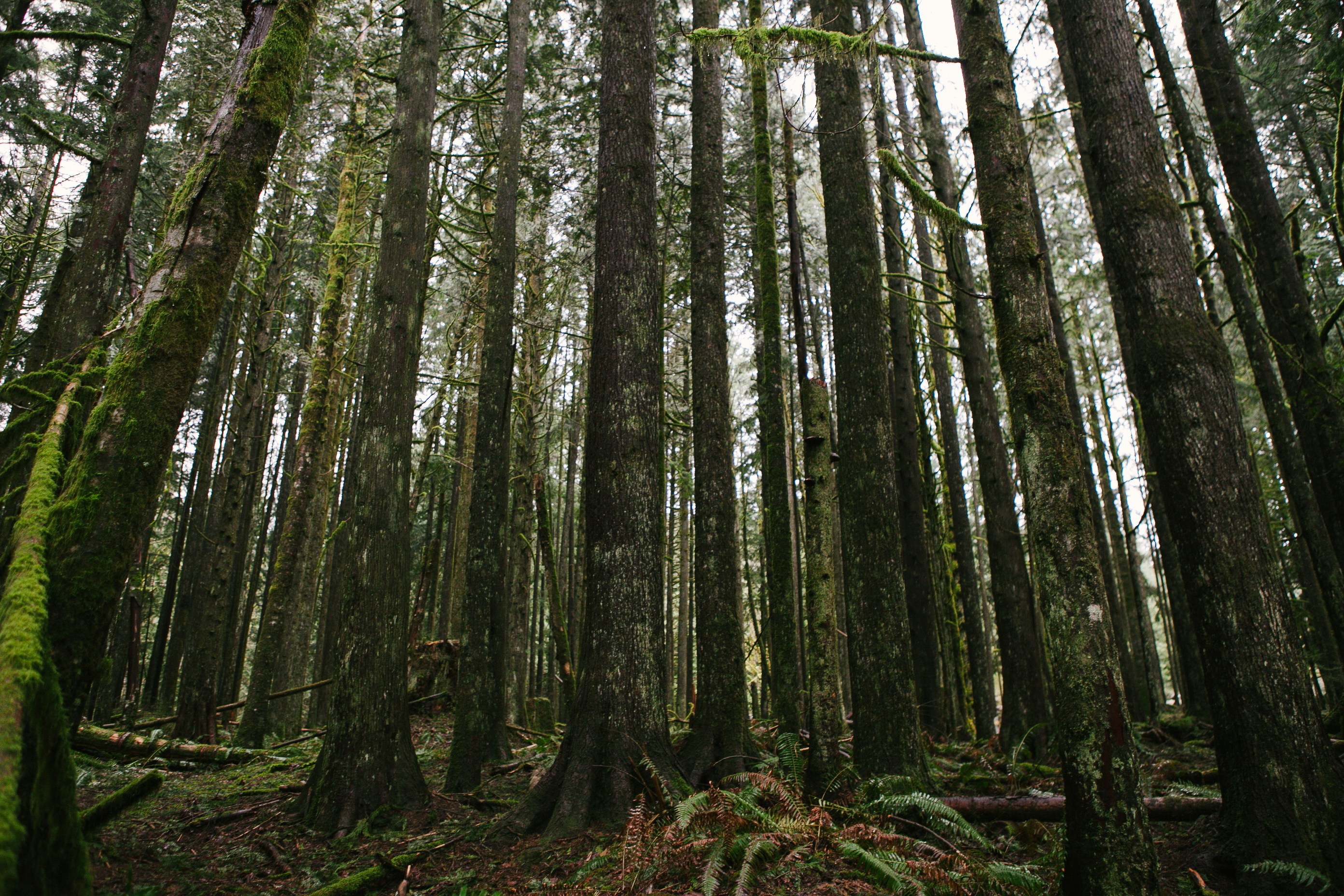 Free Unsplash photo from Megan  Lewis