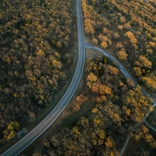 aerial photography of road and trees