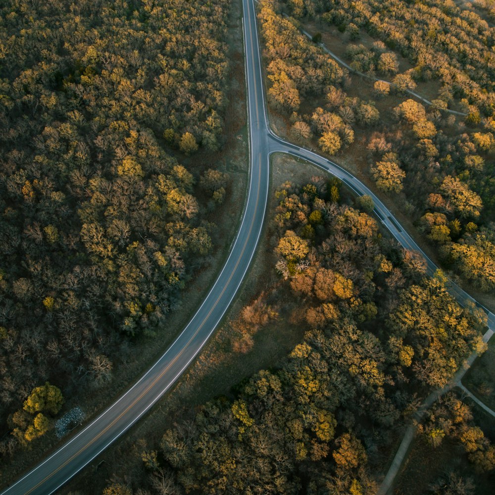 aerial photography of road and trees