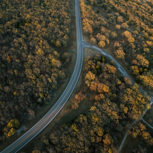 aerial photography of road and trees in Lake Ray Roberts United States