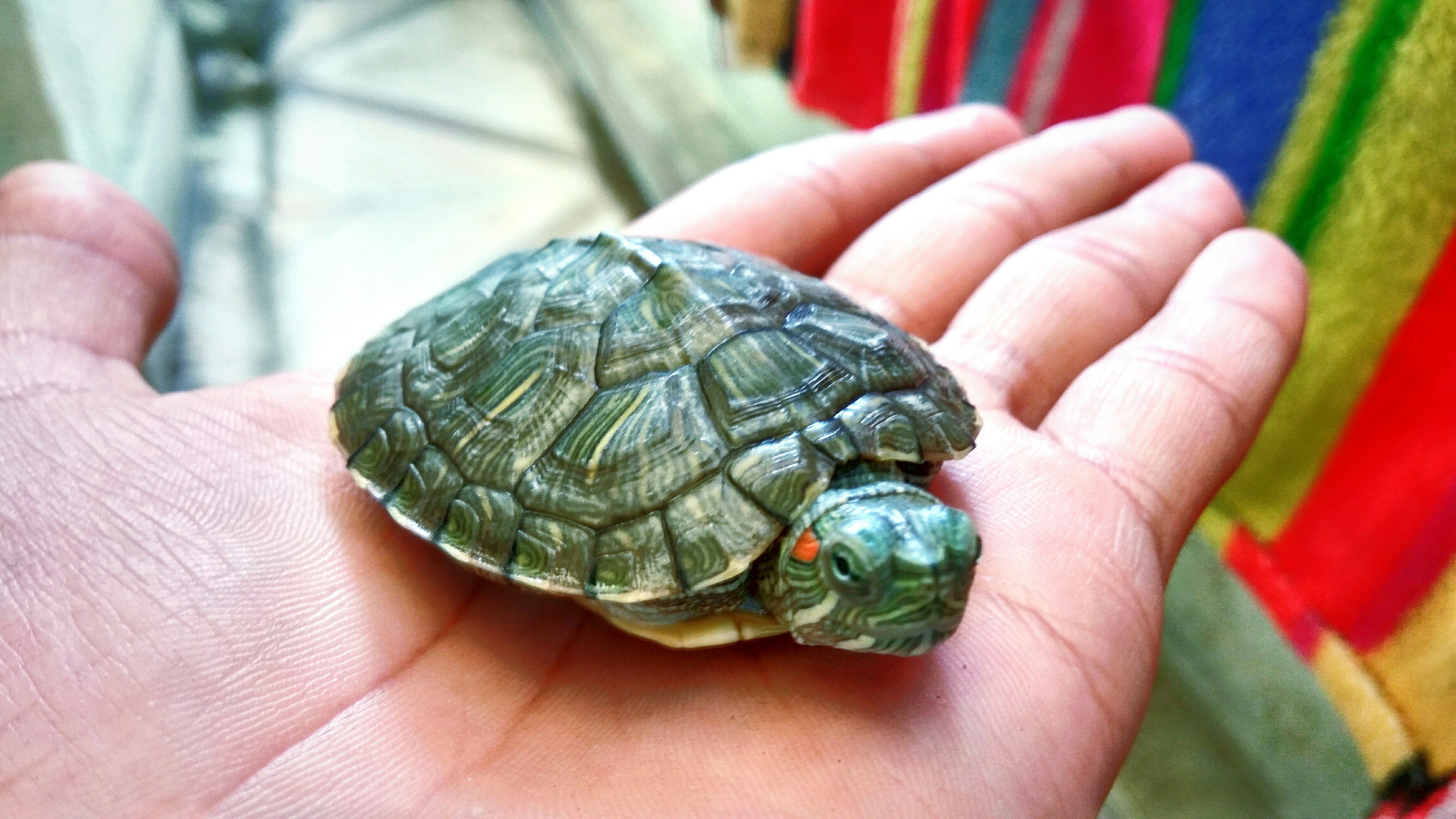 Free Unsplash photo from Sunny Singh