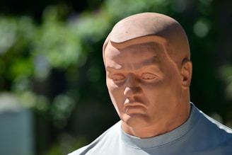 A realistic human-like mannequin or training dummy is positioned against a blurred green natural background. The mannequin has a stern, intense expression on its face, with detailed facial features including furrowed brows and deep-set eyes. It appears to be made of a smooth, solid material.
