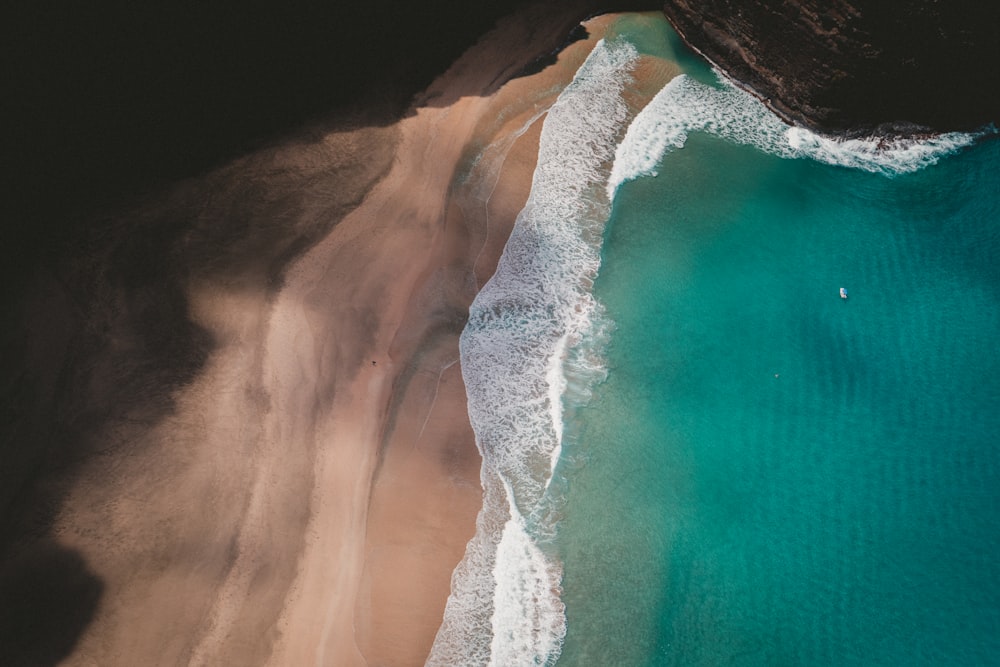 aerial view of beach shore