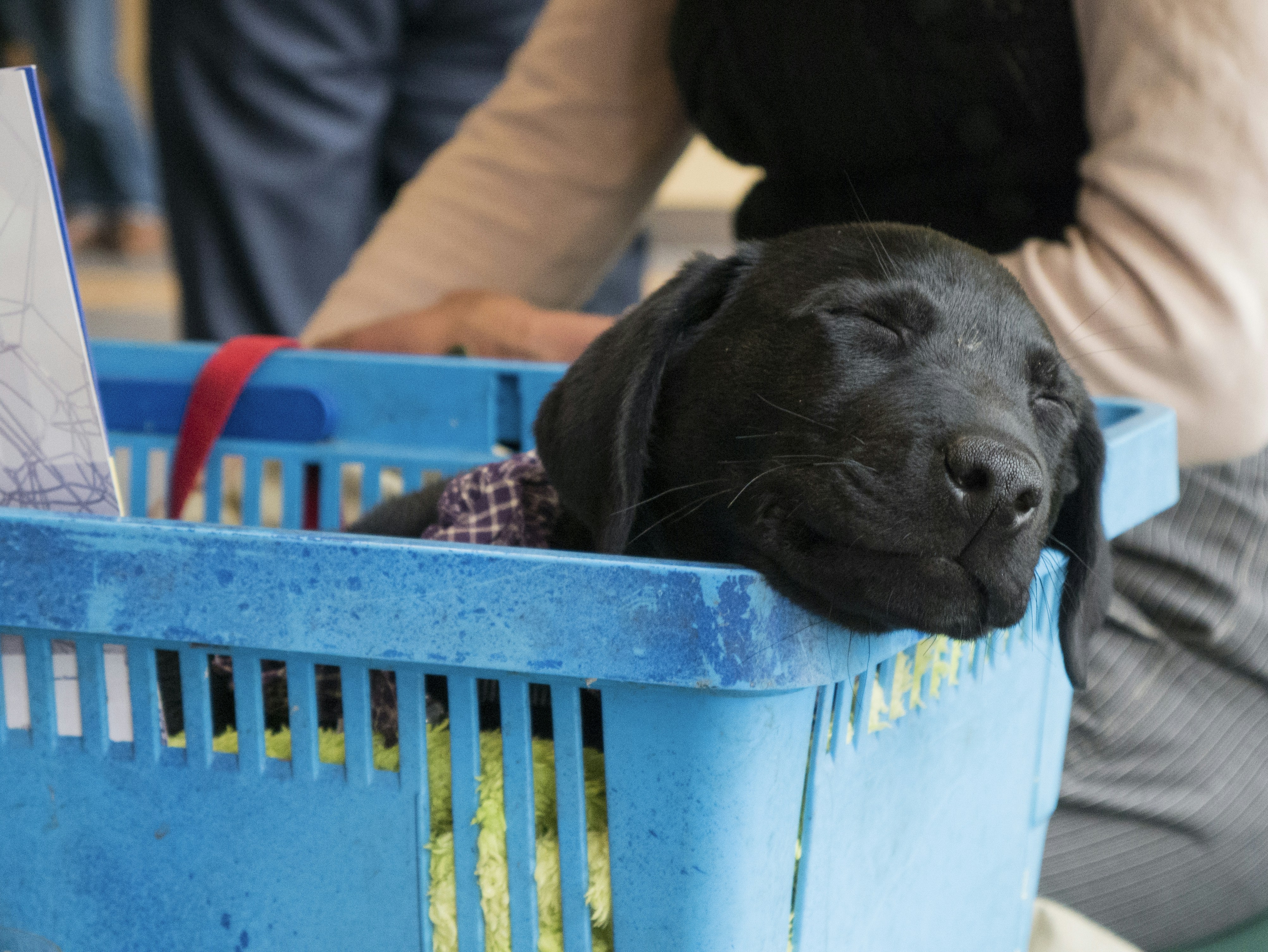 Free Unsplash photo from Maurice Smeets